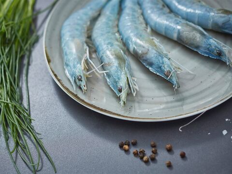 Rezepte einfach erklärt mit Video und Foto